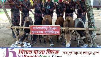 সুনামগঞ্জ সীমান্তে বিজিবির অভিযানে বিপুল পরিমাণ মালামাল আটক