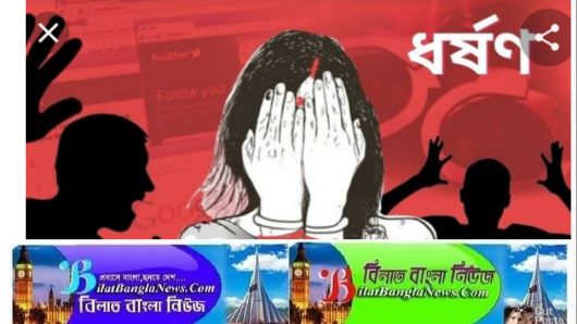 বোনকে সর্বনাশ করলো দুই ভাই: মায়ের মামলায় গ্রেফতার হয়ে কারাগারে ঠাঁই