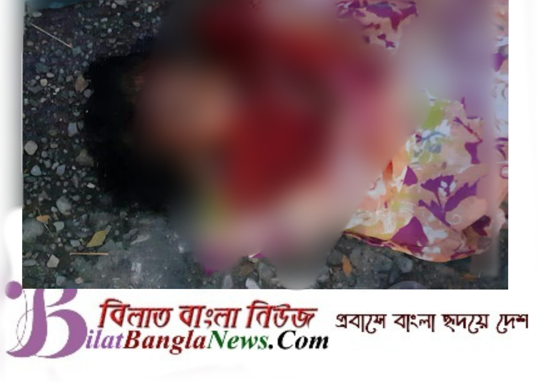 মায়ের সাথে নানারবাড়ি বেড়াতে এসে লাশ হয়ে ফিরলো শিশু হাফসা