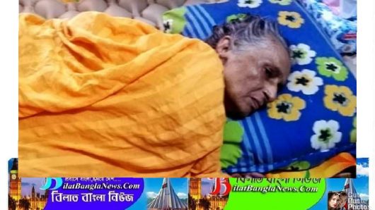 অসুস্থ বৃদ্ধার জবানবন্দি ও সাক্ষ্য গ্রহণ করতে বাদীর বাড়িতে গেলেন বিচারক