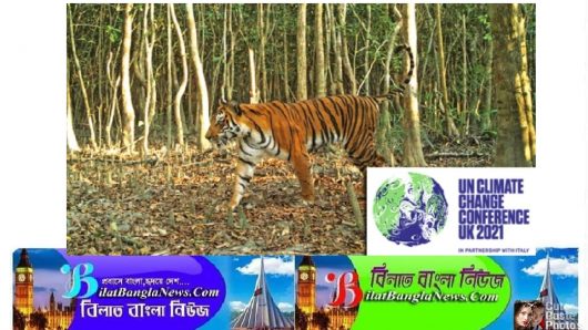 কার্বন নিঃসরণ কমাতে ঐক্যমতে পৌঁছেছে বাংলাদেশসহ বিশ্বের ১৩৪ দেশ