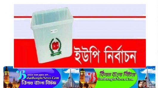 সারাদেশে বিনা প্রতিদ্বন্দ্বিতায় ২৫০ প্রার্থী চেয়ারম্যান নির্বাচিত