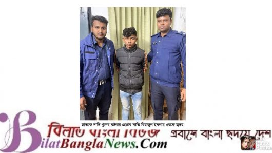 ছাতকে নাতির হাতে দাদি খুনের ঘটনায় মা-ছেলে কারাগারে