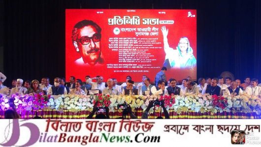 একটি অসাধু চক্র নিত্য পণ্যের কৃত্রিম সংকট সৃষ্টি করছে:নানক 