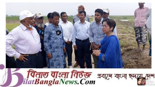 পানি সম্পদ মন্ত্রণালয়ের তদন্ত কমিটির সুনামগঞ্জে হাওর পরিদর্শন