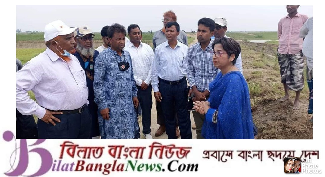 পানি সম্পদ মন্ত্রণালয়ের তদন্ত কমিটির সুনামগঞ্জে হাওর পরিদর্শন