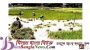 সুনামগঞ্জে ৫ হাজার হেক্টর জমির ফসলের ক্ষতি:পানিসম্পদ প্রতিমন্ত্রী