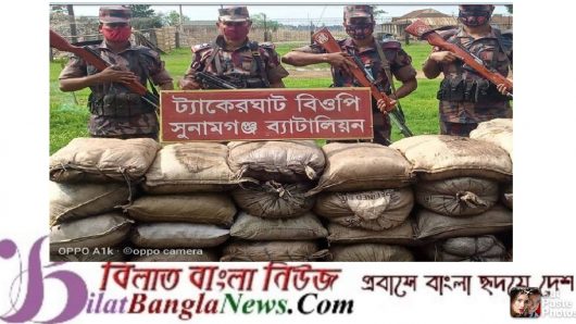 সুনামগঞ্জের বিভিন্ন সীমান্তে বিজিবির চোরাই পণ্য আটক
