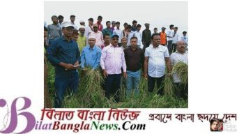 সুনামগঞ্জে ছাত্র শিক্ষকদের সাথে নিয়ে এমপি,ইউএনও ধান কাটলেন