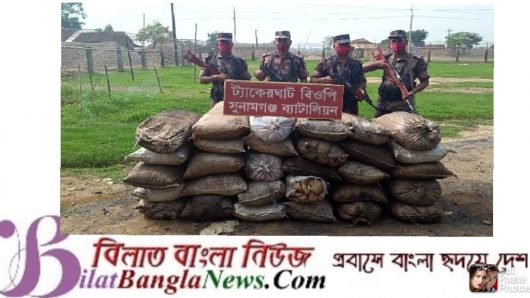 সুনামগঞ্জ বিজিবি বিভিন্ন সীমান্তে চোরাই পণ্য আটক করেছে