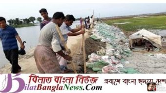 ছাতক-দোয়ারার সর্ব বৃহৎ নাইন্দার হাওর রক্ষা বাঁধে ফাটল,ঝুঁকিপুর্ণ হাওরের বোরো ফসল