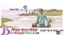 ছাতকে ১৫টি হাওরের বোরো ফসল ঢলের পানিতে তলিয়ে গেছে