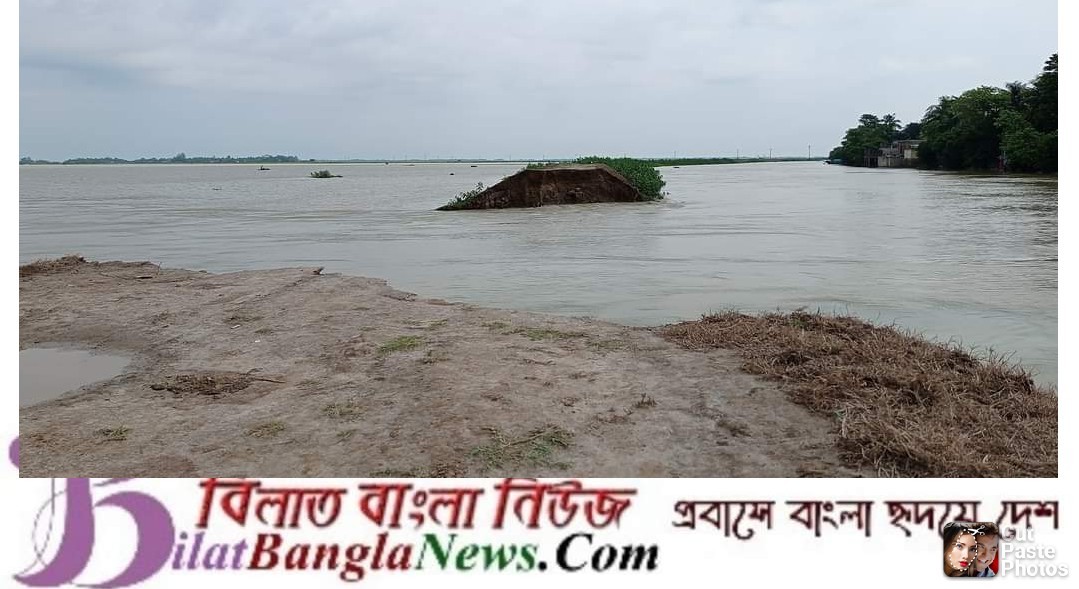 শেষ পর্যন্ত তলিয়ে গেছে সুনামগঞ্জের হুরামন্দিরা হাওরের ৩ হাজার হেক্টর জমির ধান