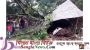 কালবৈশাখী ঝড় ও বজ্রপাতে  জগন্নাথপুর ও শাল্লায় নিহত ৫ 