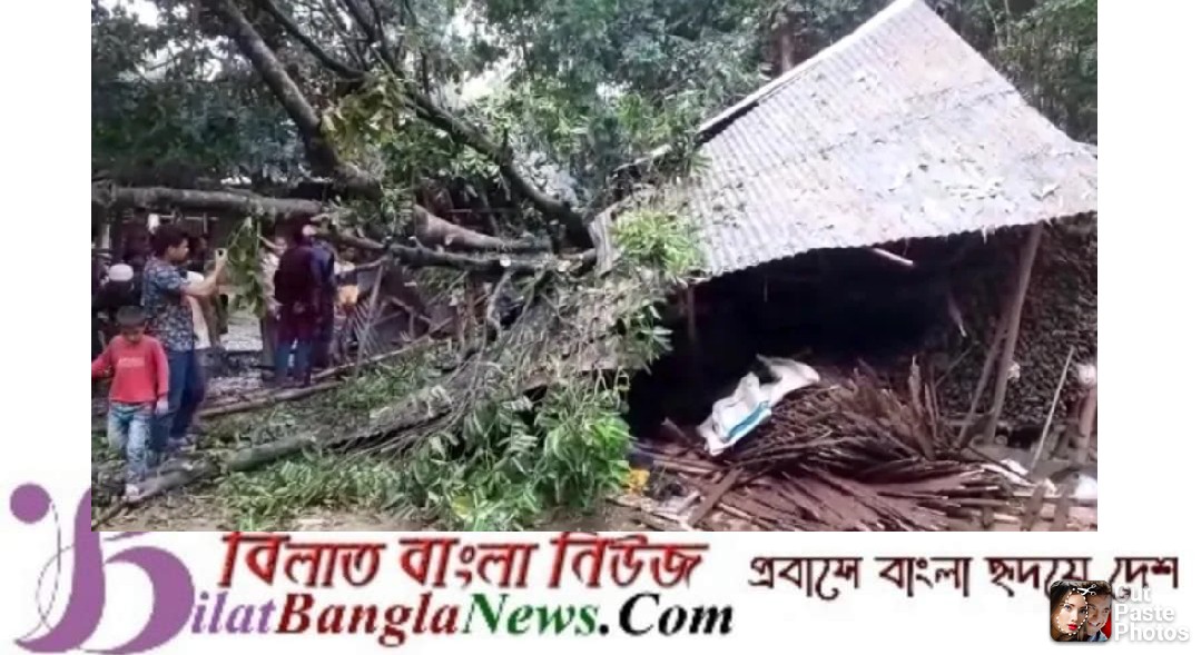 কালবৈশাখী ঝড় ও বজ্রপাতে  জগন্নাথপুর ও শাল্লায় নিহত ৫ 