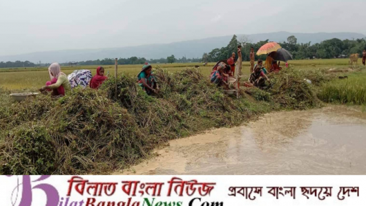 সুনামগঞ্জে বন্যার পানি কিছুটা কমলেও ছাতক দোয়ারাবাজার অবস্থা অপরিবর্তিত,দুর্ভোগ চরমে