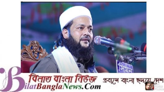 ড.এনায়েত উল্লাহ আব্বাসীর বিরুদ্ধে মামলা:সোশ্যাল মিডিয়ায় প্রতিবাদ ও নিন্দার ঝড়