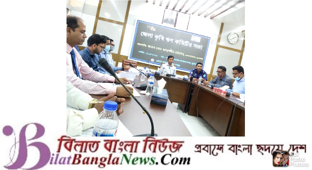 কৃষকদের সহজ শর্তে ঝণ দিতে হবে:জেলা প্রশাসক সুনামগঞ্জ