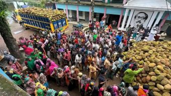 ধর্মপাশা বানভাসিদের কাঠাল বিতরণ করেন ইউএনও