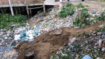 ছাতকে রেলওয়ের জায়গা থেকে ৫টি ঔষধী গাছ কেটে সাবাড়