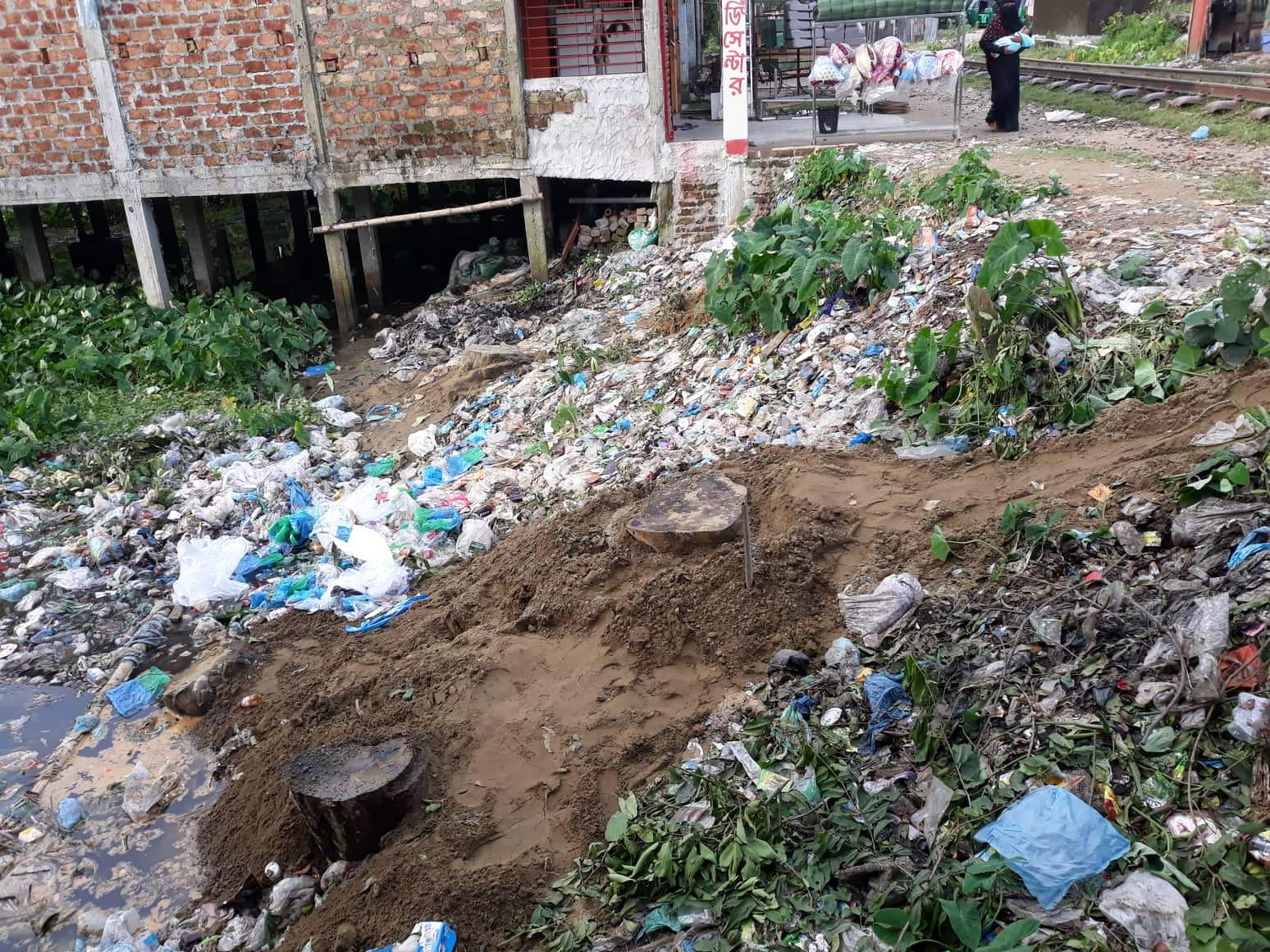 ছাতকে রেলওয়ের জায়গা থেকে ৫টি ঔষধী গাছ কেটে সাবাড়