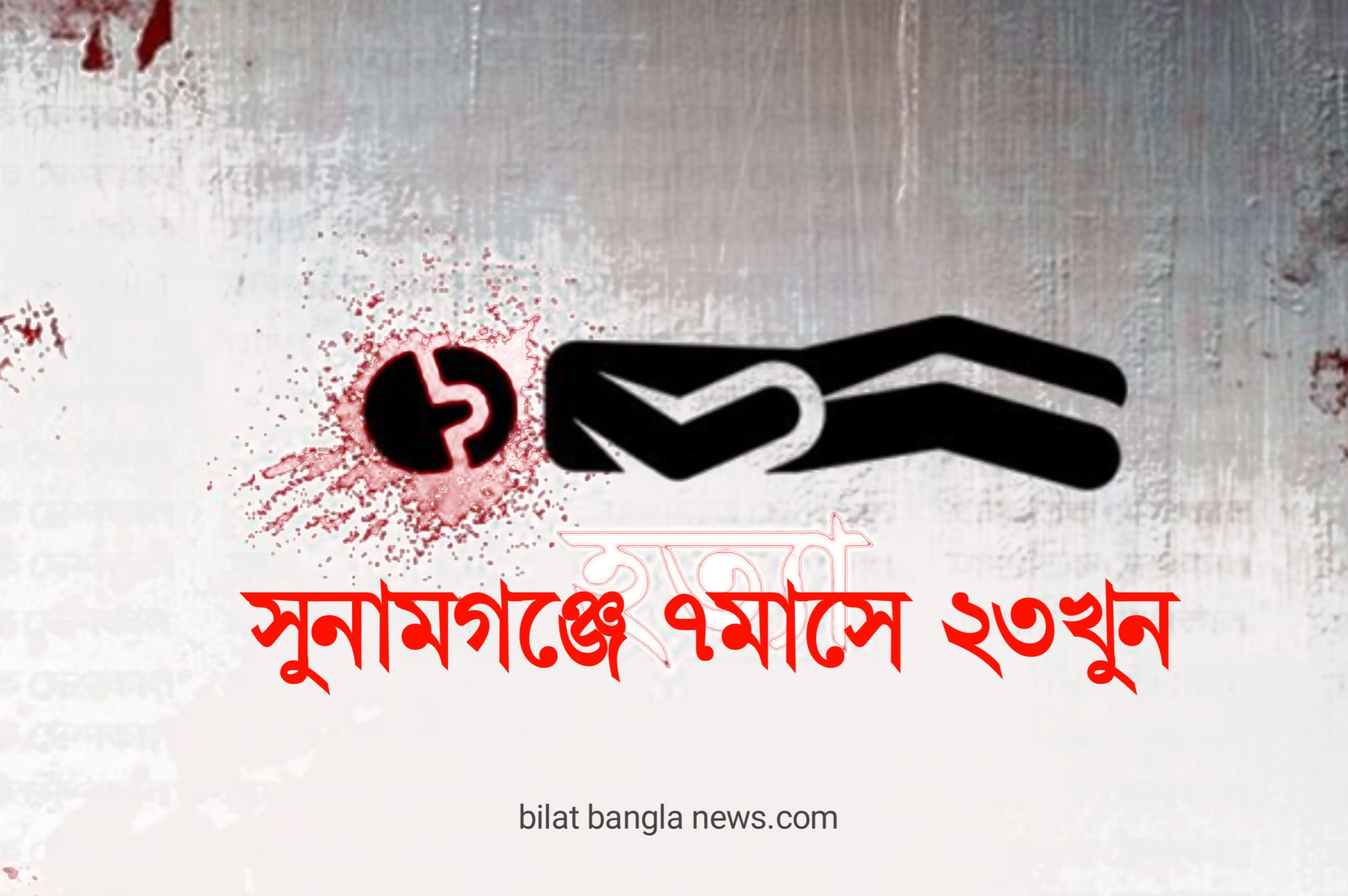 সুনামগঞ্জে জেলায় গত ৭ মাসে বিভিন্ন ঘটনায় ২৩ জন নিহত হয়েছেন 