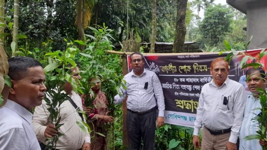 গ্রামীণ ব্যাংক লামাকাজী শাখায় গাছের চারা বিতরণ