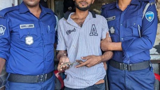 রাঙামাটিতে কোটি টাকার তক্ষকসহ আটক-১