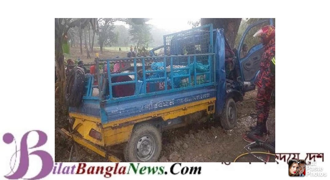 ছাতকে গাছের সাথে ধাক্কায় পিকআপের ৩ জনের মর্মান্তিক মৃত্যু