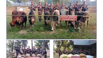 সুনামগঞ্জের বিভিন্ন সীমান্তে বিজিবির অভিযানে নানা পণ্য আটক।