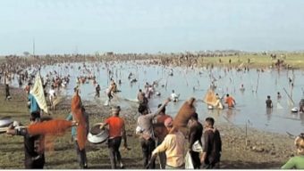 সুনামগঞ্জের বিভিন্ন জল মহালের মাছ লুটপাটের মহোৎসব ।