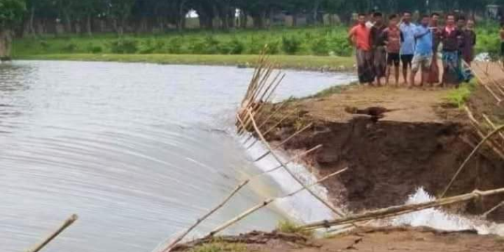 বাঁধ ভেঙে টাঙ্গুয়ার হাওরে ঢুকছে পানি, ফসলহানির শঙ্কা