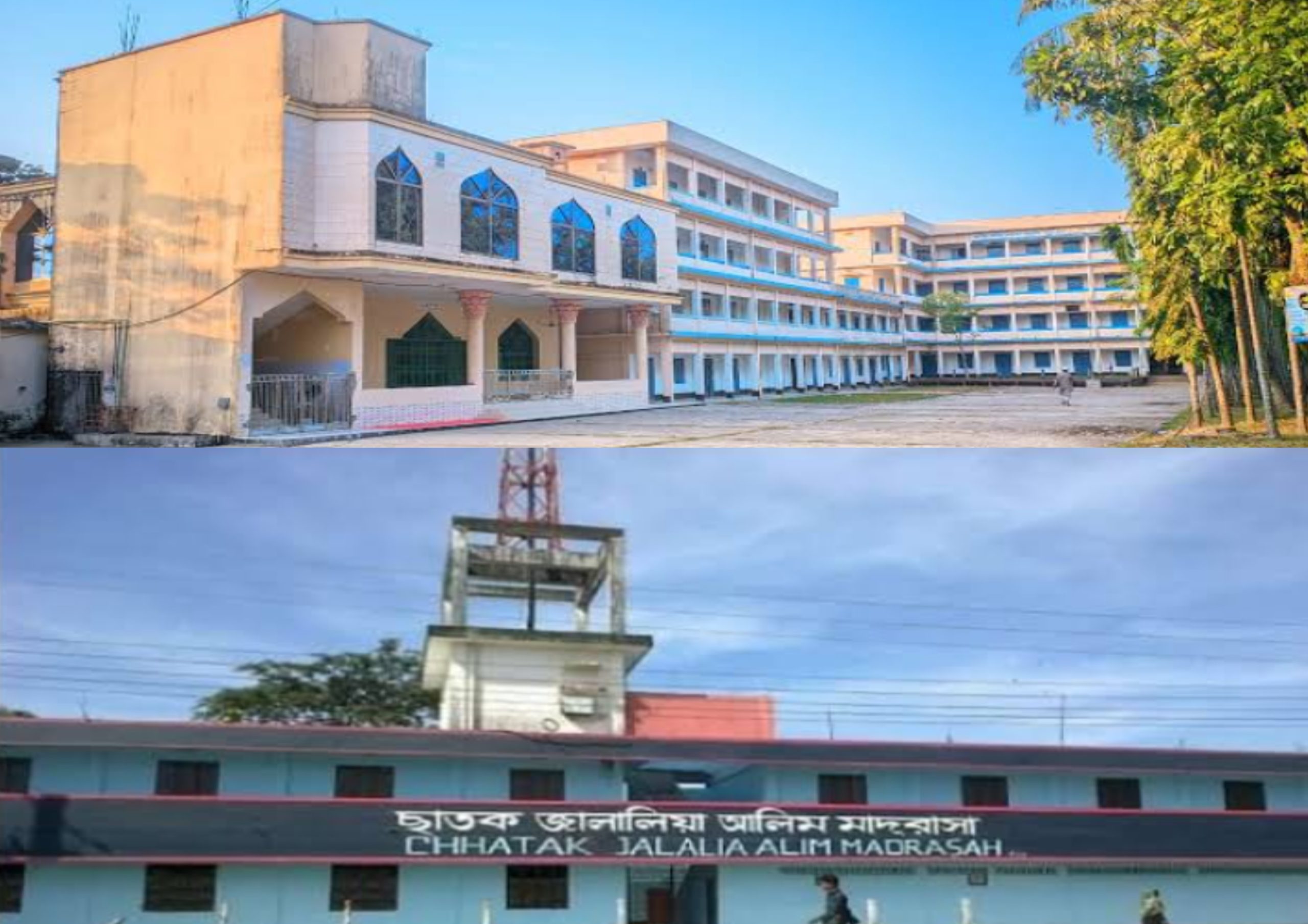 ছাতক জালালিয়া ও বুরাইয়া মাদ্রাসা শাখা ছাত্রদলের নতুন কমিটি ঘোষণা