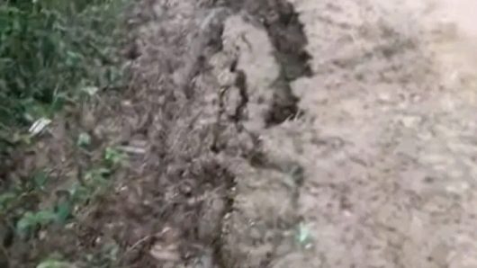 সুনামগঞ্জের ছাতক উপজেলায় অনিয়মে ভরপুর ফসল রক্ষা বাঁধ, হাওরপাড়ে হতাশার ছায়া