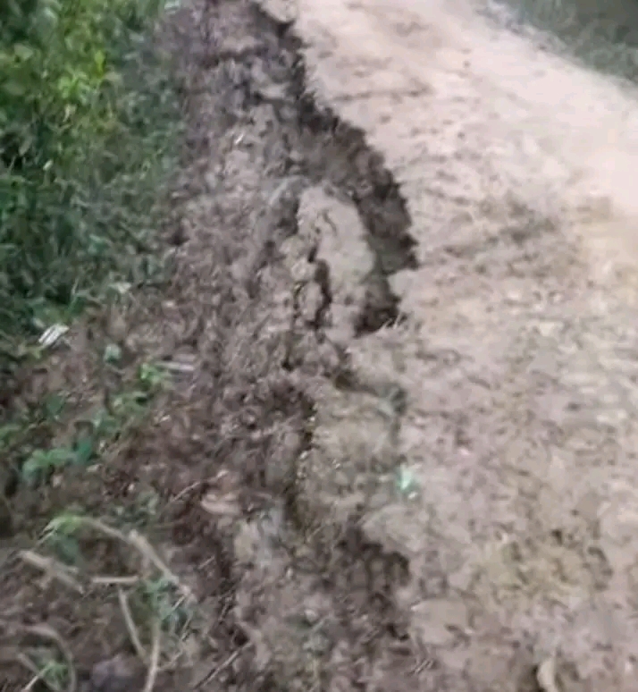 সুনামগঞ্জের ছাতক উপজেলায় অনিয়মে ভরপুর ফসল রক্ষা বাঁধ, হাওরপাড়ে হতাশার ছায়া