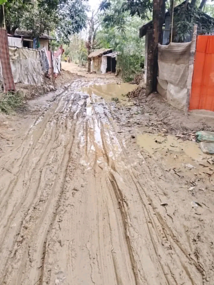 ছাতক উপজেলার নোয়ারাই ইউনিয়নের ৩নং ওয়ার্ডে উন্নয়নবঞ্চনা: কাদা-জলাবদ্ধতায় বিপর্যস্ত জনজীবন