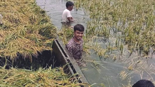 কৃষকদের স্বপ্ন ধূলিস্মাত হতে দেখে কৃষকরা কান্না করছেন একে একে তলিয়ে যাচ্ছে সুনামগঞ্জের হাওরের ফসল।