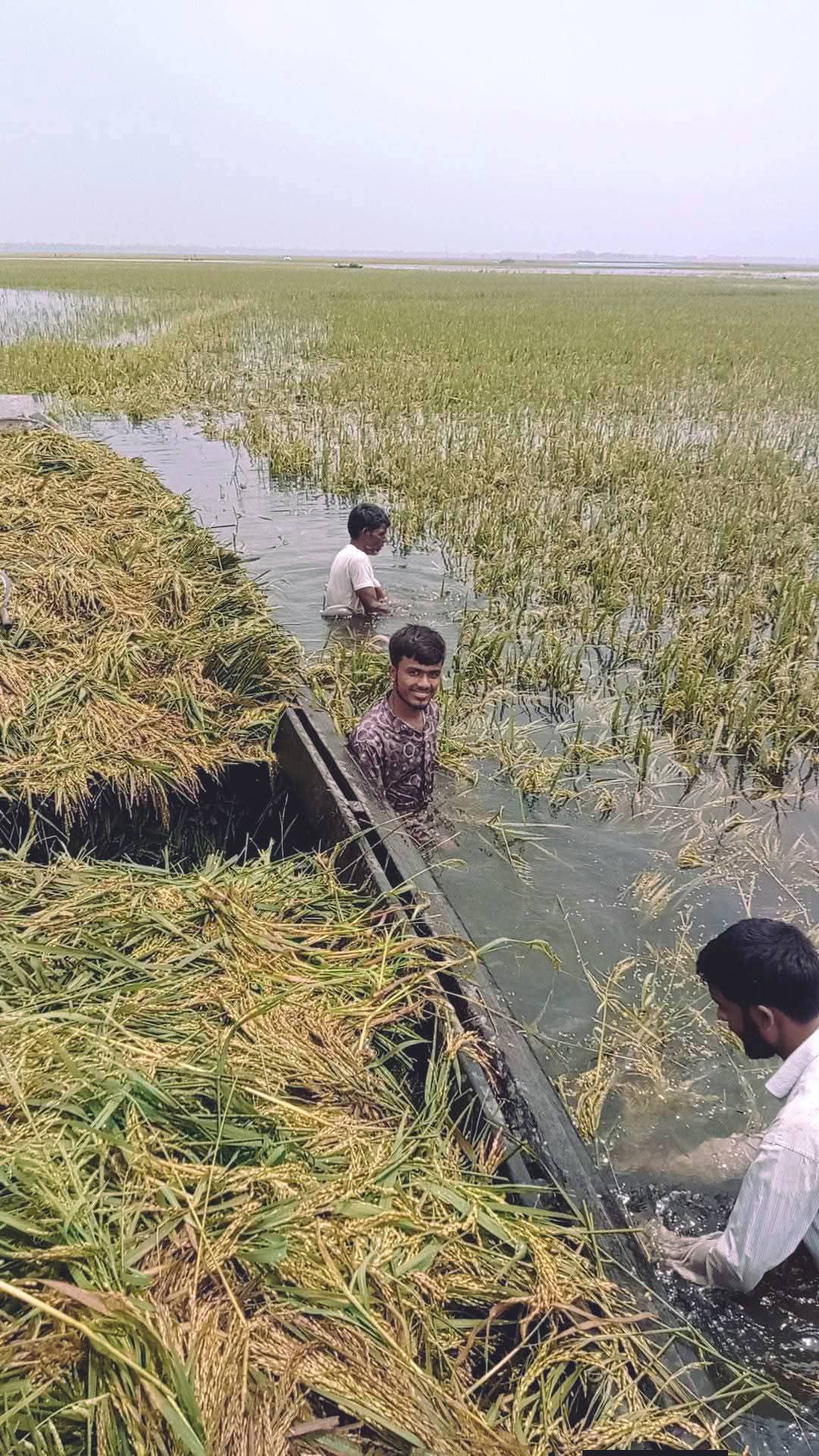 কৃষকদের স্বপ্ন ধূলিস্মাত হতে দেখে কৃষকরা কান্না করছেন একে একে তলিয়ে যাচ্ছে সুনামগঞ্জের হাওরের ফসল।