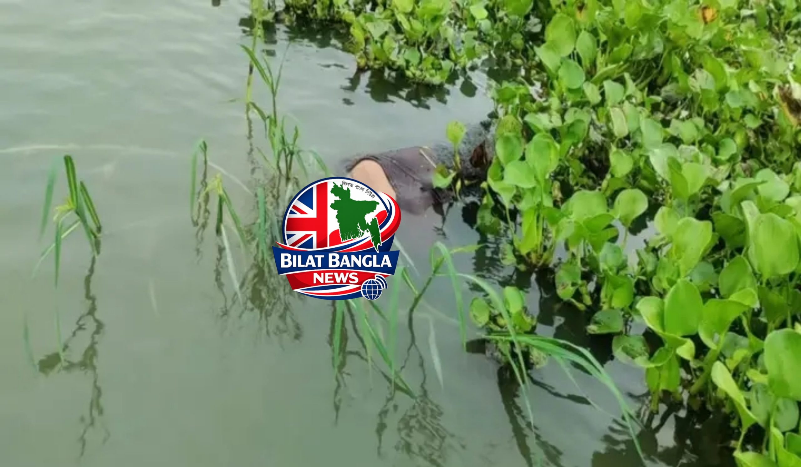 সুনামগঞ্জের ছাতকে ডোবার পানিতে ভাসমান অবস্থায় অজ্ঞাতনামা নারীর মরদেহ উদ্ধার