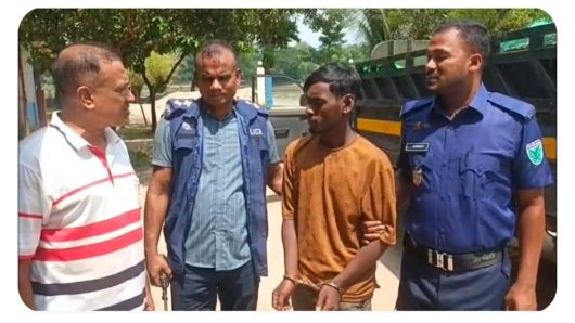 সুনামগঞ্জে ২৬ লাখ ৮০ হাজার ভারতীয় নাসির বিড়িসহ পিকআপ জব্দ: গ্রেফতার ১