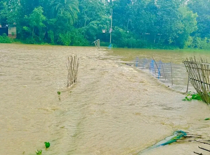 কমলগঞ্জে লাউয়াছড়া গাংয়ের বাঁধ ভেঙে সড়কে পানি, পানিবন্দী ৫ শতাধিক মানুষ